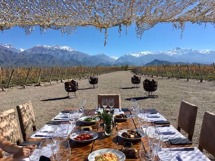 Almuerzo entre los viñedos de la bodega, una de las experiencias que ofrecen.