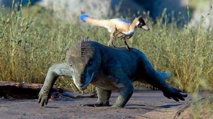 Recreación de Alnashetri arriba de un Priosphenodon (gentileza Gabriel Díaz Yantén)