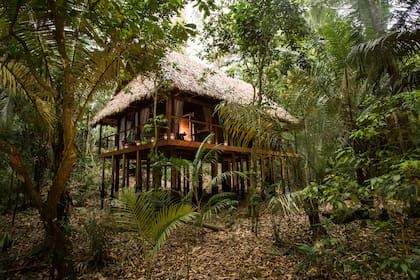 Alojarse en medio de la selva es una experiencia fascinante.