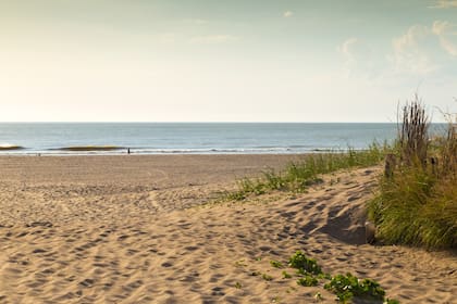 Cómo llegar a Mar de las Pampas