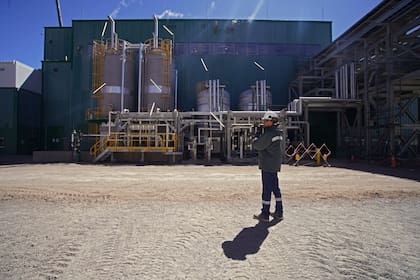 Alrededor de 250 personas trabajan todos los días en el Proyecto Fénix