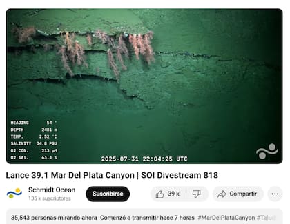 Alrededor de 35 mil personas se unieron a la transmisión en vivo del pasado jueves 31 de julio