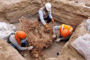 Descubren restos humanos de 800 años de antigüedad mientras hacían una obra de gas