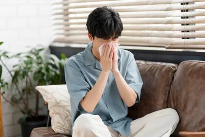 Alrededor del 43% de los japoneses han experimentado algún tipo de alergia por culpa del polen liberado por sus bosques