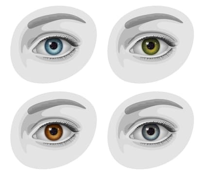 Alrededor del 80% de la gente del mundo tiene alguna variación de marrón rodeando sus pupilas
