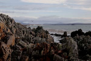 Tras el rastro de la huella indígena en las Malvinas: las revelaciones de un nuevo estudio