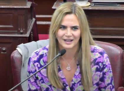 Amalia Granata es diputada provincial en Santa Fe