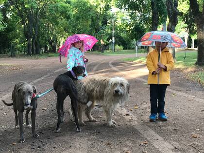 Amalia y Luis Pedro, los hijos de Dolores, criados entre perros: "forman parte de nuestra diaria. Acompañan a los chicos y a nosotros en cada paso que damos, todos los días".