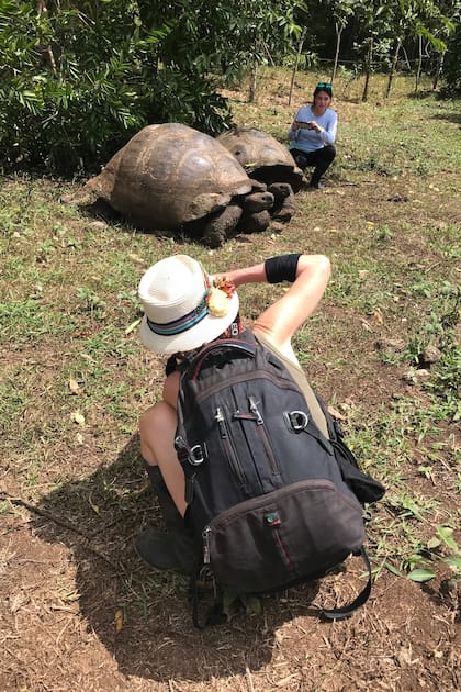 Amante de la naturaleza, le interesan los viajes donde se puede observar fauna, como esta tortuga gigante de las islas Galápagos.