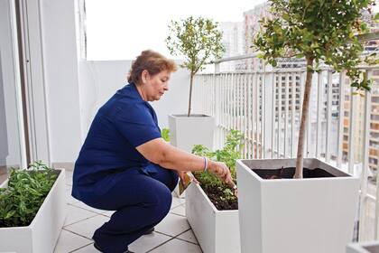 Amante de lo verde. En su casa, por culpa de los perros, no puede tener su propia huerta. Se da el gusto en el hogar donde trabaja