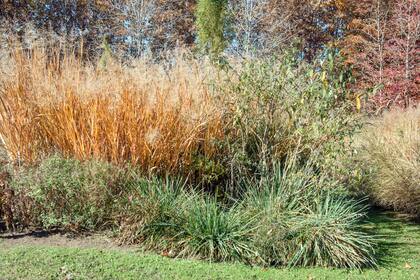 Amante del estilo naturalista, Benítez Cruz creó su vivero (La Teófila), que cuenta con las plantas adecuadas y necesarias para el armado de este estilo de plantaciones.