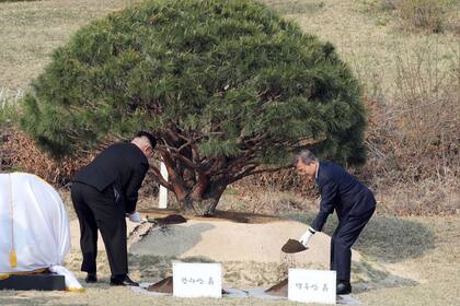 Ambos mandatarios plantaron un árbol