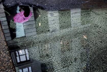 Los científicos predicen que las temporadas de polen empezarán mucho antes y serán más duraderas.