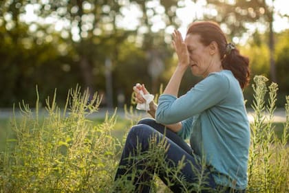 Cada vez más personas sufren los síntomas de fiebre de heno, incluyendo en las regiones sureñas de Sudamérica.