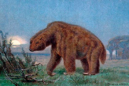 Ameghino divulga también otra de sus grandes teorías: la coexistencia del humano prehistórico americano con los megamamíferos, también conocidos como megafauna, entre los que se cuentan el gliptodonte y el megaterio