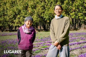 La pareja de origen japonés que cultiva una de las especias más caras del mundo