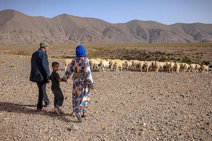 Los nómadas se redujeron a 25.000, según el último censo oficial en 2014, frente a casi 70.000 en 2004, una caída de dos tercios en diez años.