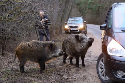 Amenazan especies locales y sitios culturales como cementerios y campos de batalla