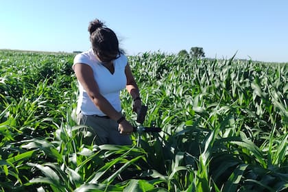 América Agroinnova articula con universidades, empresas y organismos públicos