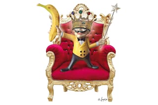 América tropical, tierra de portentos nunca vistos y maravillas que asombran