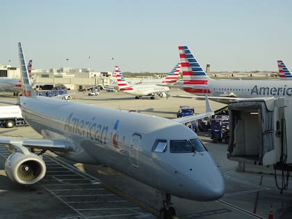 American Airlines sostuvo en una corte federal que la conducta de la página web era ilegal y engañosa