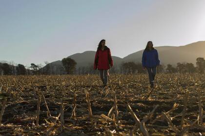Amigas en un camino de campo (Compañía de cine).