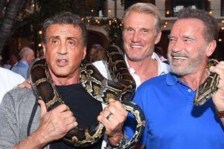 La divertida chicana de Schwarzenegger a Stallone, en Instagram