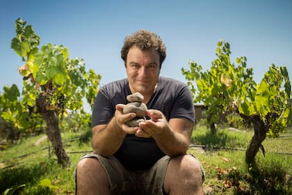 "Amo los blancos, haría menú solo con vino blanco".