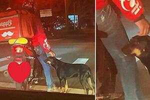 Amores únicos: un repartidor se encariñó con un perro callejero y lo adoptó