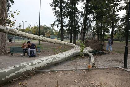 AMOR VALIENTE. Una pareja conversa y se besa en el parque Pereyra, a la altura de la avenida Vélez Sarsfield al 1300, en Barracas; el espacio verde está cerrado al público y la calle California, que lo atraviesa y divide las dos partes de la plaza, está completamente obstruida por los árboles caídos