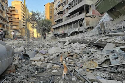 Amplia destrucción en Beirut por la guerra