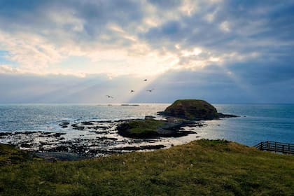 Ampliemos nuestra conexión con la naturaleza.