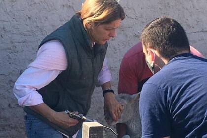 Ana Boracchia es una médica veterinaria que se dedicó toda su vida al trabajo en el campo