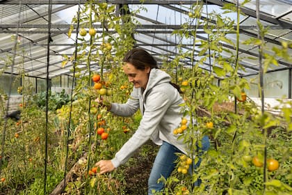 Ana Calles en el invernadero.