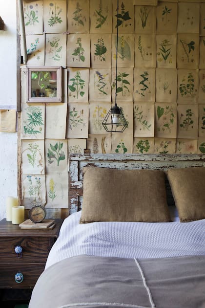 Ana empapeló la pared de su dormitorio con páginas de una antigua enciclopedia botánica. "Defina tiene su estilo y yo el mío, cada una fue encontrando su impronta."