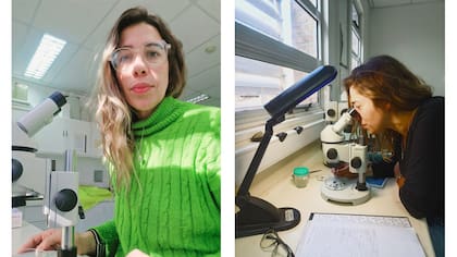 Ana Pereira, investigadora del Conicet Patagonia
