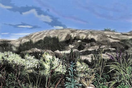 Piedra Alta, hoy en departamento uruguayo de Florida, fue donde se proclamaron las tres leyes fundamentales de la Provincia Oriental el 25 de agosto de 1825.