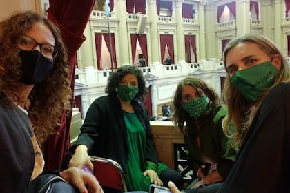 Analía Rearte estuvo junto a Carla Vizzotti el 10 de diciembre en el debate por la legalización del aborto.