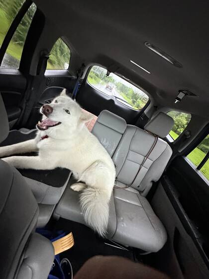 Anatoli está irreconocible.