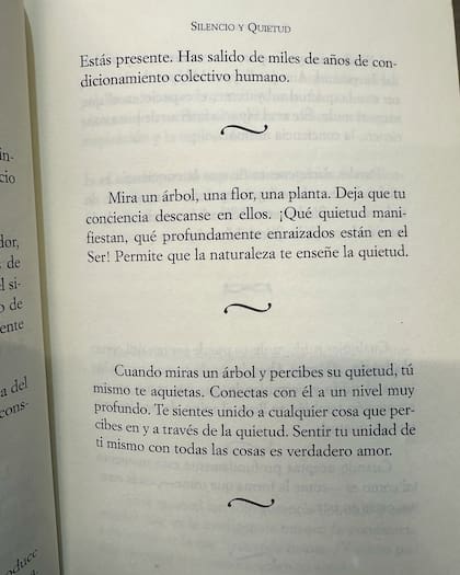 Anderson compartió un fragmento del libro que estaba leyendo (Foto: Instagram @evangelinaanderson)