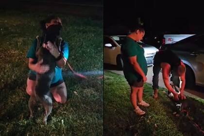 Andora, que había estado desaparecido desde hace más de dos años, volvió a los brazos de sus dueños (Imagen: KFOR - Oklahoma’s News Channel 4)