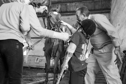 "Acariciando la libertad", el movimiento multidimensional del caballo es una terapia alternativa teraputica eficaz para distintas discapacidades en personas de cualquier edad.