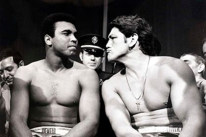 "Clay, chicken", le dijo Ringo Bonavena a Muhammad Alí, para provocarlo antes del combate del 7 de diciembre de 1970, cuando el norteamericano esperaba su chance para recuperar el título mundial