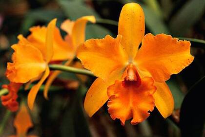 Costa Rica ofrece muchas posibilidades para explorar la naturaleza