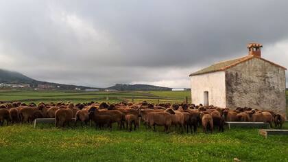 "En el campo estás en contacto diario y explícito con el ciclo de la vida".