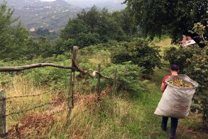 "Esta cadena no se rompe con el esfuerzo de una o dos personas"