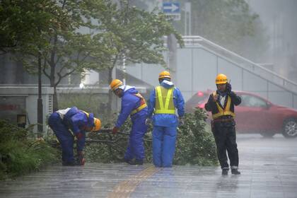 Bomberos y rescatistas trabajan en las calles para remover árboles caídos