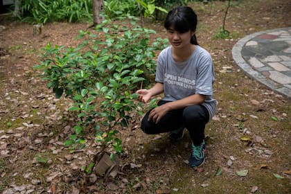"La urgencia climática es la amenaza más grave para la supervivencia de la humanidad", dice la activista climática china Howey Ou, de 17 años