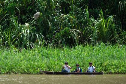 "Las especies de sabana son todas tolerantes a seis meses de sequía y también al fuego"