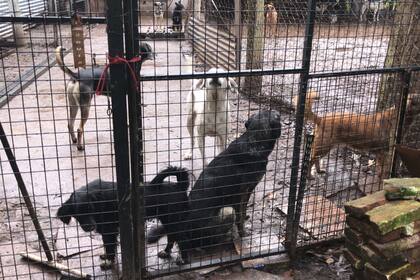 "Necesitamos ayuda para que Mabel pueda salir a trabajar y retomar su vida", dice Carla.
